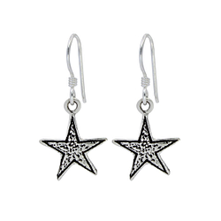 Wholesale Sterling Silver Star Earrings - JD1353
