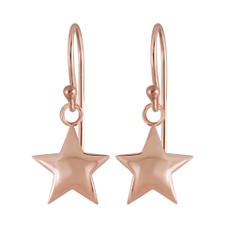 Wholesale Sterling Silver Star Earrings - JD5092